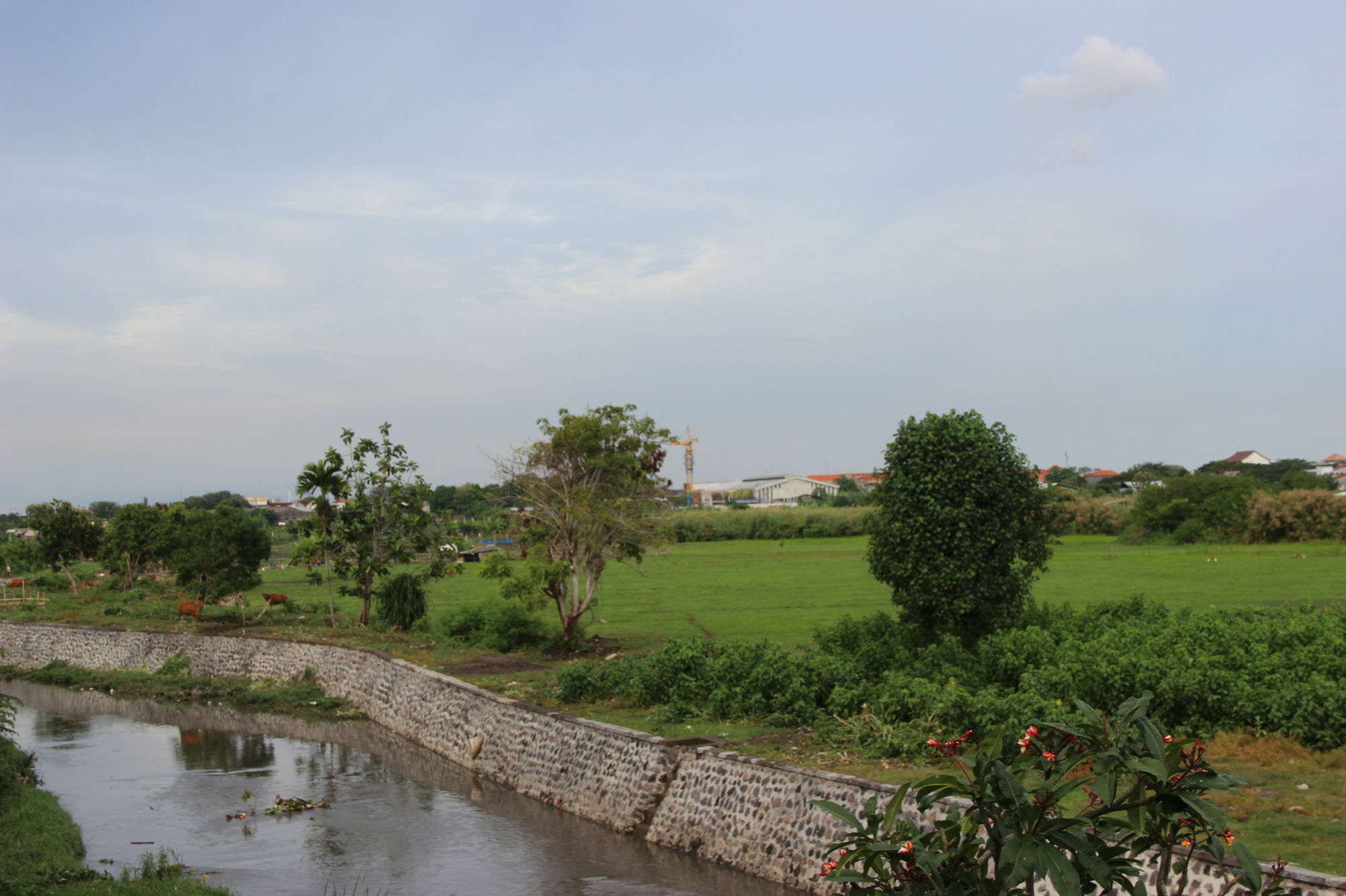 Beji Ayu Homestay Σεμινιάκ Εξωτερικό φωτογραφία